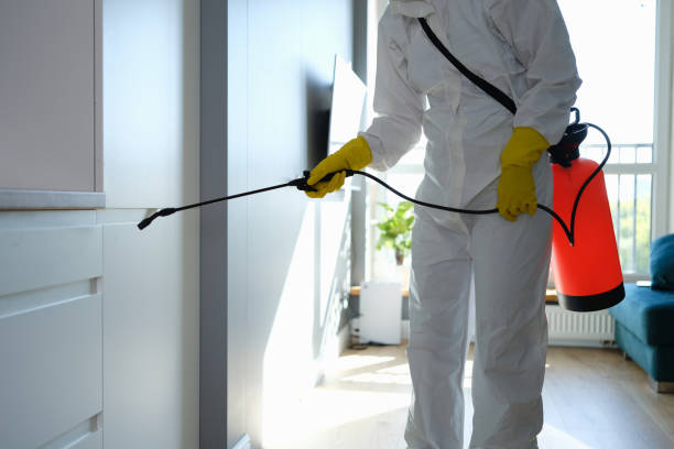 Best Mold Inspection  in Ferndale, MI
